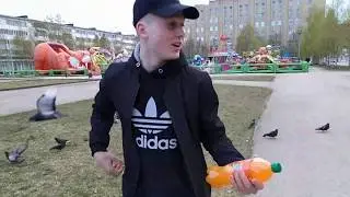 ПРАНК Я ОГРОМНЫЙ КОМАР/ПРАНК С ГОЛУБЕМ