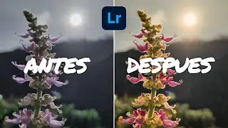 EDITANDO FOTOS de mis SUSCRIPTORES (I) | LIGHTROOM TUTORIAL