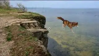 Вид крафт помоги мне