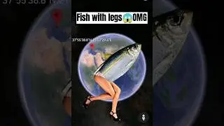 Fish with legs😱on Google Earth 