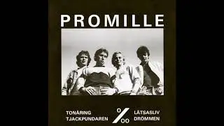 Promille  ‎–  Tonåring  (FULL 12´´ 1979)