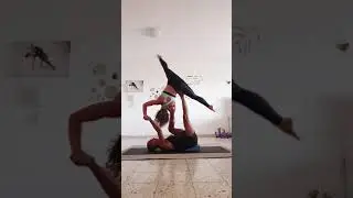 הקפצה ממטוס לעטלף | הקפצה מעטלף לכוכב | מעבר מכוכב למטוס