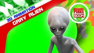 Green Screen Gray Alien 3D Animation - PixelBoomCG