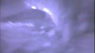 Сааремаа Насва(1)