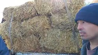 Нархи хурка