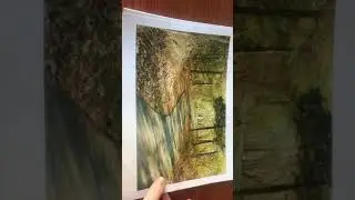 Looking at photos I took for my photography class