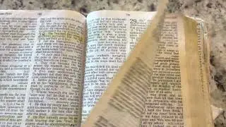 Moral Scriptures To Keep You Humble