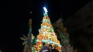 Giant Christmas Tree Made of Plastic Bottles Lighting Done!!! Part 2