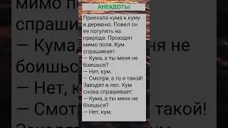 Приехала кума к куму в деревню... 