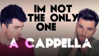 Sam Smith - I'm Not The Only One (A Capella cover)