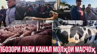 Молбозори Лаби канал Молҳои Масчоҳ 🇹🇯октября 2023 г.
