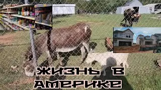 ДОМАШНИЙ ЗООПАРК  НОВЫЕ ПОСТРОЙКИ ДОМОВ  МАГАЗИН  ДОМА НА КОЛЁСАХ  ДЛЯ ОТДЫХА США