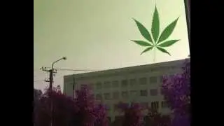 Самый прекрасный рассвет )гг