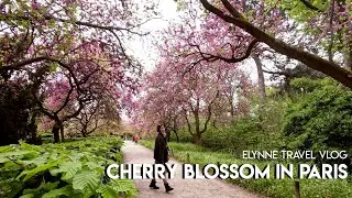 My Paris Guide: Cherry Blossom Spots in Paris during Spring 🇫🇷| Elynne's VLOG