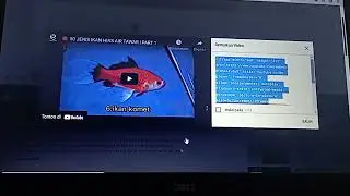 Cara ambil link youtube yang benar (REVISI dari persiapan backlink)
