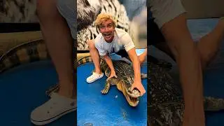 I got BIT by an ALLIGATOR!!
