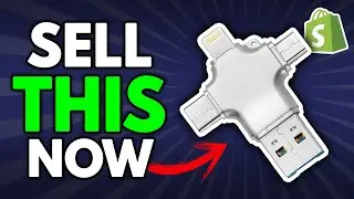 8 BEST WINNING PRODUCTS TO SELL ON SHOPIFY  IN 2021
