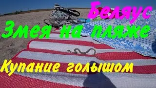 Бархатный сезон 2021. ч-03. Змея на пляже. Купание голышом
