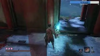 Sekiro, but this time i dont die