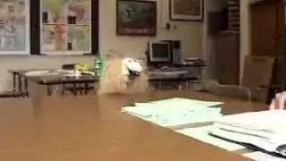 City High '05 Homecoming Video