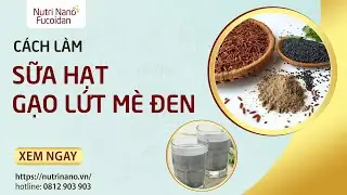 Cách làm sữa hạt gạo lứt mè đen