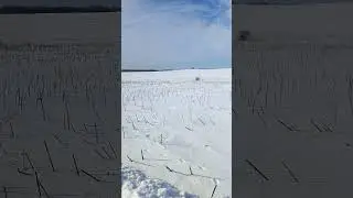 зима продолжается в деревне64