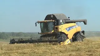 Жатва в АО 