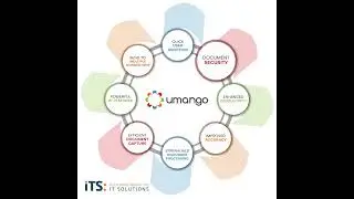Why choose Umango?
