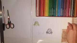 Como desenhar uma tartaruga.