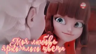 Леди Баг и Супер Кот — Моя любовь ярко алого цвета