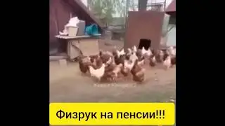 физрук на пенсии #смех #юмор
