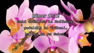 Christliches Anbetungslied mit Bibelverse! - (Du Lebst in uns)