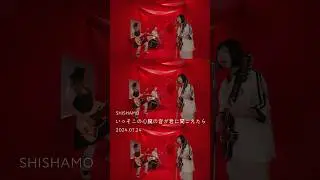 SHISHAMO 「いっそこの心臓の音が君に聞こえたら」Teaser
