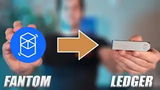 How To Add Fantom Network To Ledger