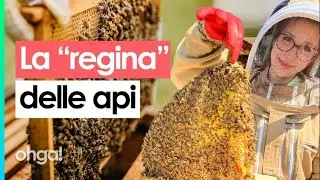 Prima era terrorizzata, ora ne alleva 6 milioni: la storia della "regina delle api"
