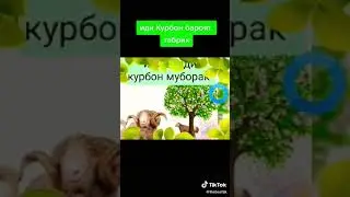Иди курбон муборак э бародар🤲🤲🤲