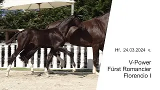 Hf v V Power x Fuerst Romancier x Florencio I 2024