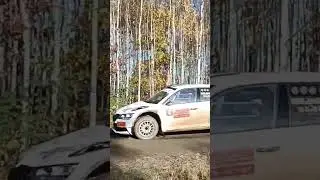#motorsport #Lausitz #Rallye #lausitzrallye #race #racing ##rennsport #automobile