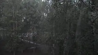 ЛИВЕНЬ   2