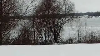 Этож как надо Рыбу любить))))