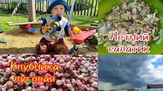 Ванюша пошёл  // Крутим Иван-чай // Собираем клубнику🍓 на лугу
