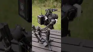 MY CAMERA RIG #cameragear #creator #video #filmmaker