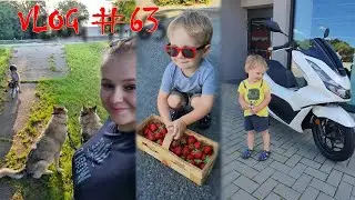 Máme nového mazlíka  |VLOG #63