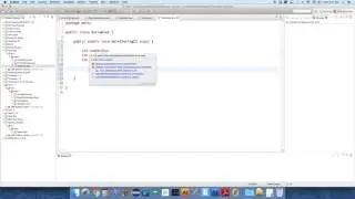 Int and Double Variables