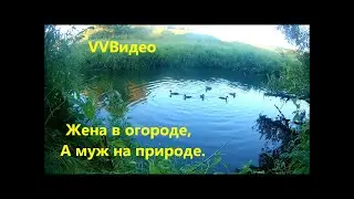Жена в огороде, муж на природе.