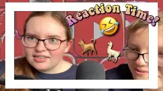 Reviewing our old YouTube series! - Rating ‘Lama and Doggy’ episodes 😂