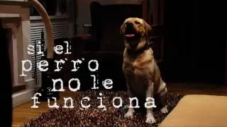 Spot Publicitario para Sistemas de seguridad