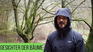 Waldfotografie- Gesichter der Bäume