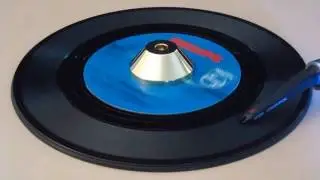 The Orchids feat  Gary DeCarlo  - Baby Stay And Make Me Happy