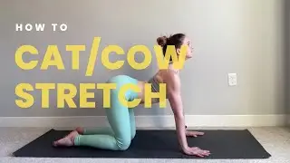 How To: Cat/Cow (with Shoulder Engagement)